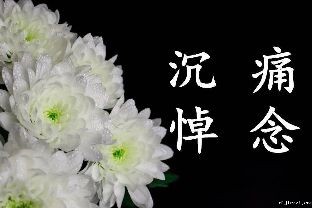 64e1b552193cd.jpeg 1.jpeg