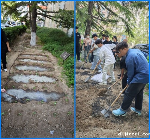 66260b6a69a69.jpg 1_conew3.jpg